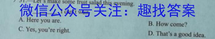 陕西省九年级联盟卷(23-CZ118c)英语试题