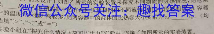 ［齐齐哈尔一模］齐齐哈尔市2023届高三第模拟考试l物理