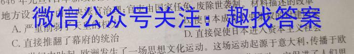 天一大联考 河南省2023年九年级学业水平模拟测评历史