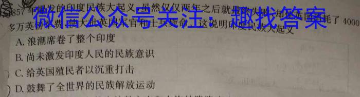 安徽省合肥市庐江县2023届初中毕业班第二次教学质量抽测历史