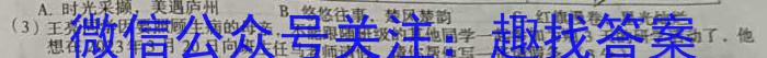 河南省新乡市长垣市2023年九年级学业水平模拟测评语文
