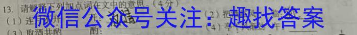 2023年陕西省高三教学质量检测试题（二）语文