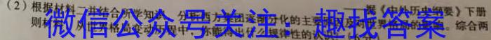 安徽省2023年名校之约·中考导向总复*模拟样卷（九）历史试卷