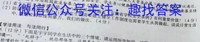 2023年普通高等学校招生伯乐马模拟考试(六)地理.