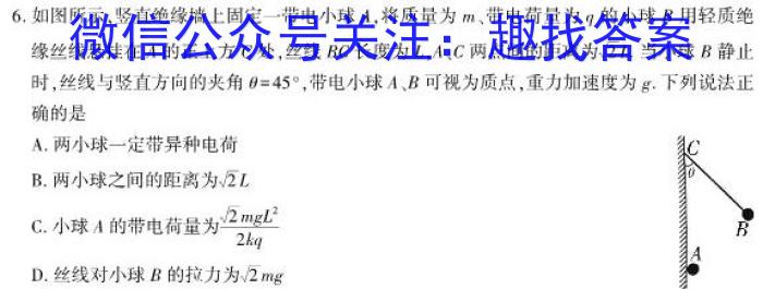 江西省2023届九年级中考模拟卷（二）物理`