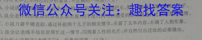 2023年湖南省普通高中学业水平合格性考试仿真试卷(专家版三)语文