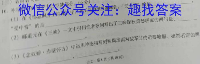 天一大联考2023年高考冲刺押题卷(二)语文