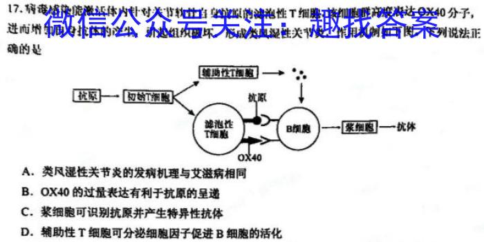 2022-2023洛阳强基联盟高二3月月考生物