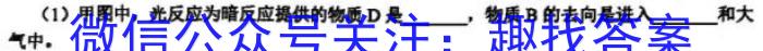 江淮名卷2023年中考模拟信息卷(四)4生物