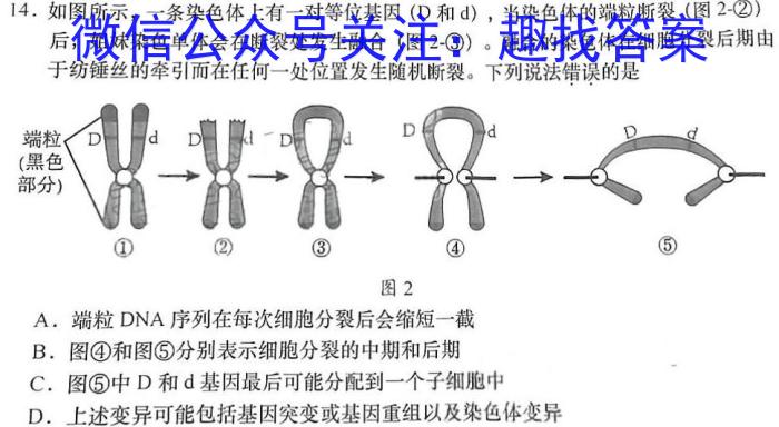 2023届普通高等学校招生统一考试仿真模拟卷（一）生物试卷答案