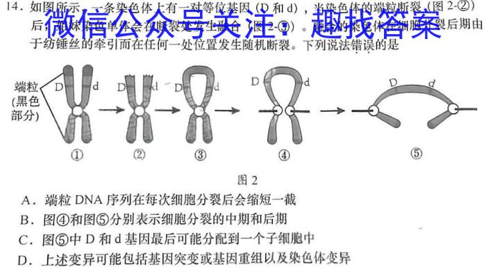 2023届普通高等学校招生统一考试仿真模拟卷（一）生物试卷答案