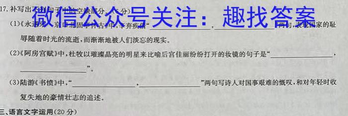 天一大联考2022-2023学年度高二年级下学期期中考试语文