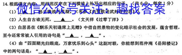 安徽省2023年名校之约·中考导向总复习模拟样卷（七）语文