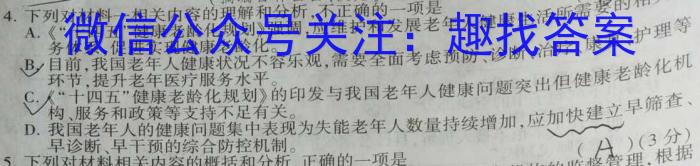 2023年安徽省高三训练试卷3月联考(23-351C)语文