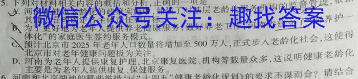 炎德英才大联考2023年高三年级4月大联考语文