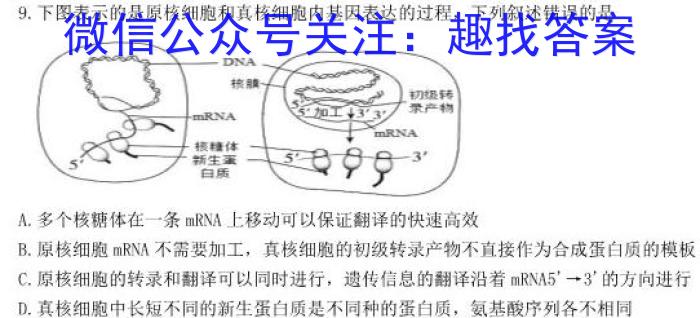 2023年河南决胜中招模拟试卷（二）生物