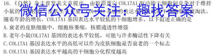 2023年湖南省普通高中学业水平合格性考试模拟试卷(四)生物