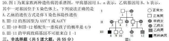 2023年普通高等学校招生全国统一考试·冲刺押题卷(六)6生物