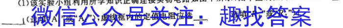 2023衡水金卷先享题信息卷 新高考新教材(五).物理