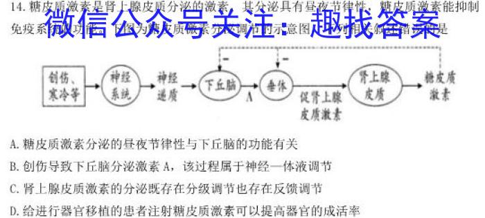 琢名小渔河北省2023届高三专项定向测试生物试卷答案