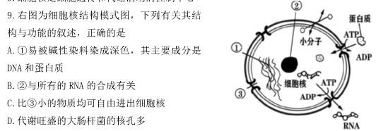2023浙江温州二模高三3月联考生物
