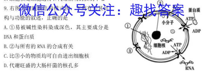 [三省三校二模]东北三省2023年高三第二次联合模拟考试生物试卷答案