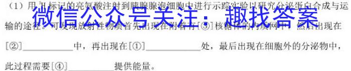 安徽省2022-2023学年七年级下学期教学质量调研一1生物试卷答案