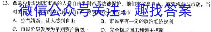 天利38套河北省2023年初中毕业生升学文化课考试押题卷(六)历史