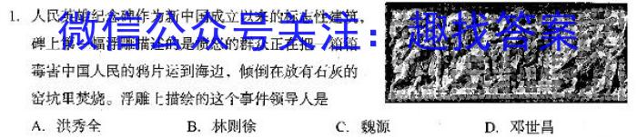 安徽省2023年九年级检测二历史