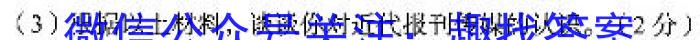 2023年安徽省初中学业水平考试模拟（一）政治~
