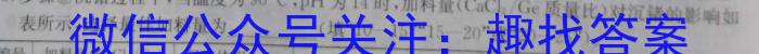 九师联盟2022-2023学年高三3月质量检测(X)化学