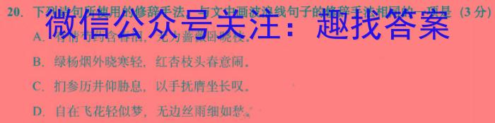 佩佩教育·2023年普通高校统一招生考试 湖南四大名校名师团队模拟冲刺卷(4)语文