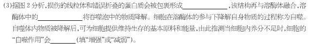 2023湖南郴州第三次市质检生物