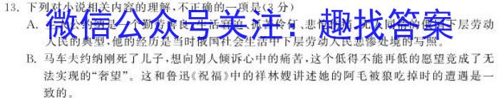 河北省2022-2023学年高三高考前适应性训练考试语文