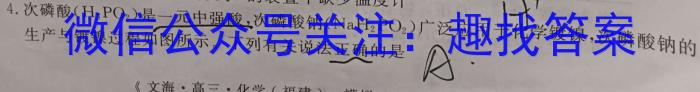 安徽省2022-2023学年九年级联盟考试（二）化学