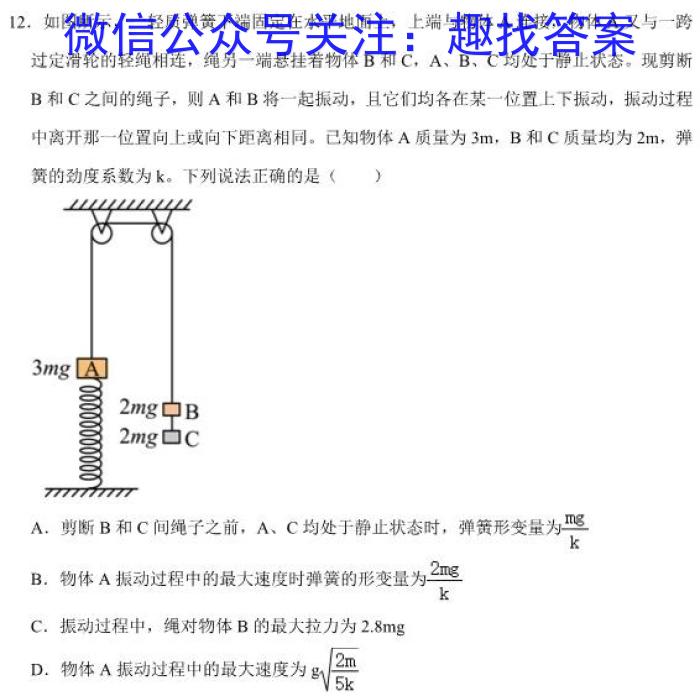 江西省2024届八年级第六次阶段适应性评估【R-PGZX A JX】物理`