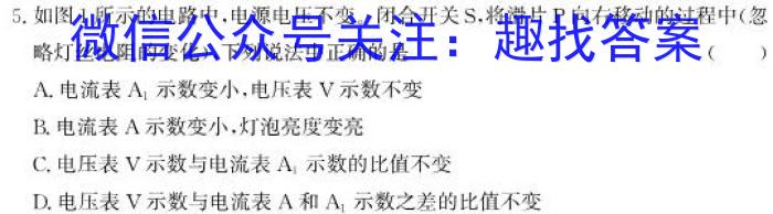 耀正文化(湖南四大名校联合编审)·2023届名校名师测评卷(八).物理