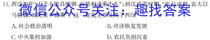 2022-2023学年湖南省高二试卷3月联考(23-339B)历史