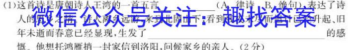 2023池州市高三3月大联考语文
