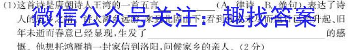 2022-2023学年度苏锡常镇四市高三教学情况调研（一）语文