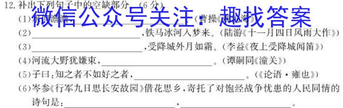 皖智教育安徽第一卷·2023年安徽中考信息交流试卷(四)语文
