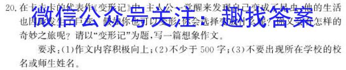 2023高考冲刺试卷 新高考(一)语文