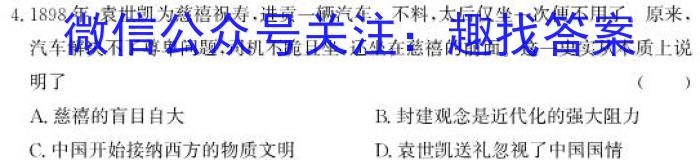 皖智教育安徽第一卷·2023年安徽中考第一轮复习试卷(十)历史