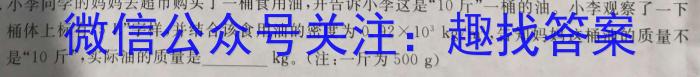 万唯中考2023年山西省初中学业水平考试（二）物理`