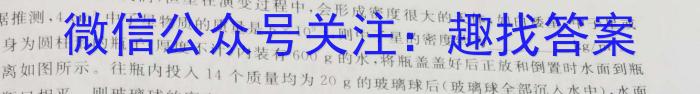 2023年万友中考模拟卷（八）l物理