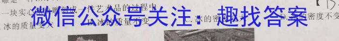 山西省2022-2023学年度八年级第二学期阶段性练习（一）物理`