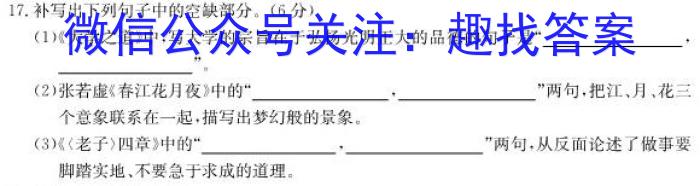 湘教考苑2023年高考模拟试卷(试题卷一)语文