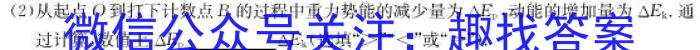 山西省实验中学2024-2023学年第二学期期中质量监测（卷）q物理