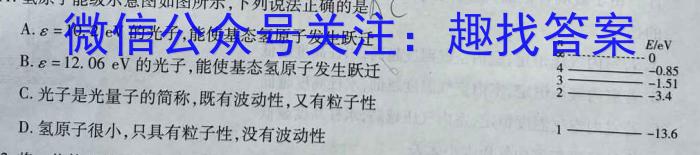 天一大联考·河南省2025届高一年级3月联考物理`