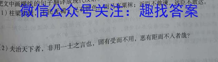 2023届柳州高中/南宁三中高三(4月)联考语文